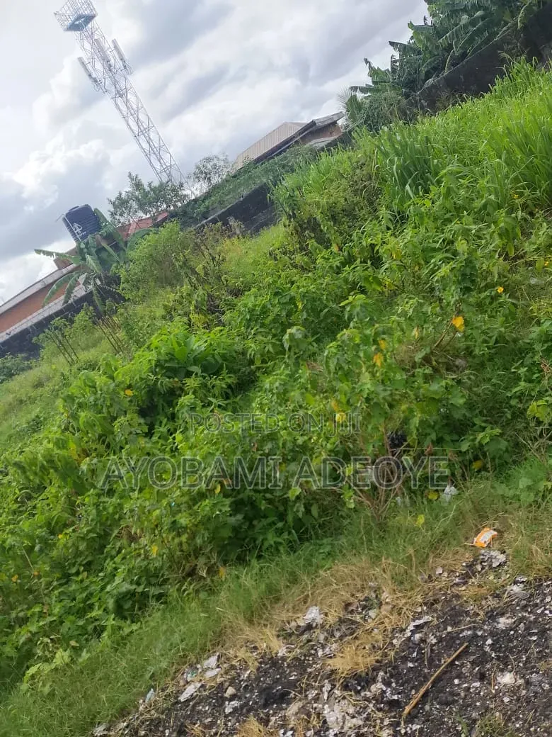 A Plot of Land at Elerangbe Ibeju Lekki