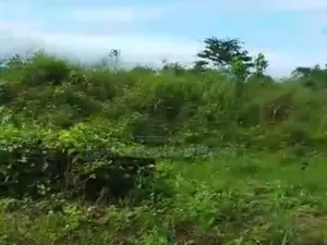 15 Plots for Sale Along Ubani Uzuakoli Road Umuahia
