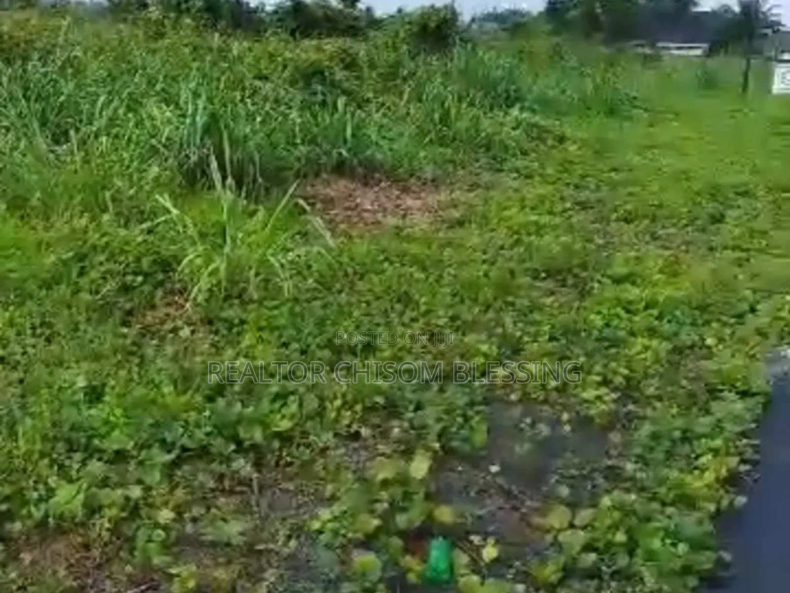 15 Plots for Sale Along Ubani Uzuakoli Road Umuahia
