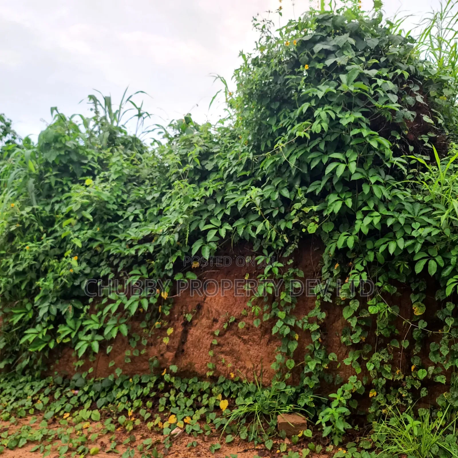 Plot for Sale