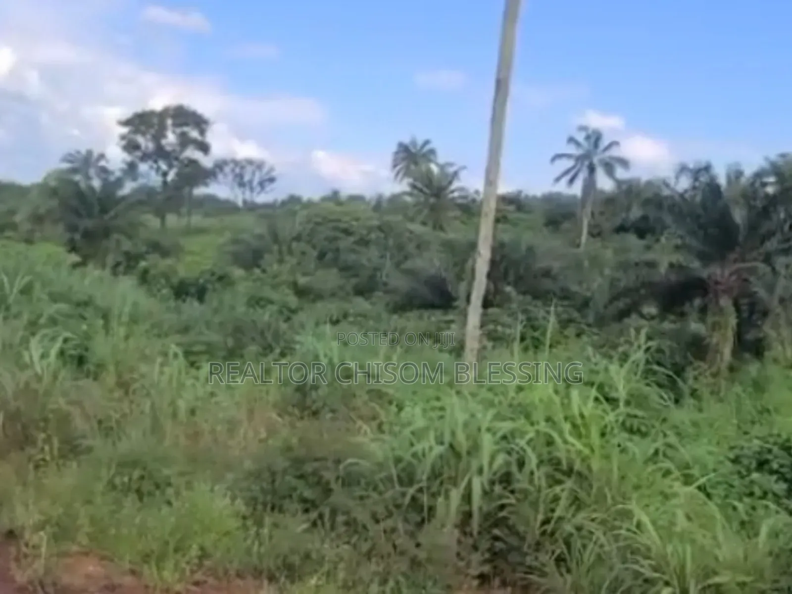 41 Plots for Sale at Agbo Ibeku, Umuahia, Abia State