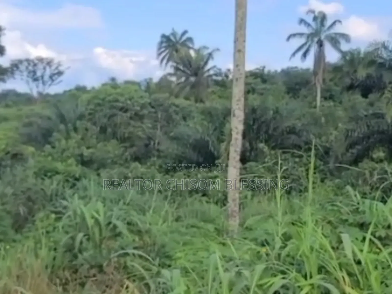 41 Plots for Sale at Agbo Ibeku, Umuahia, Abia State