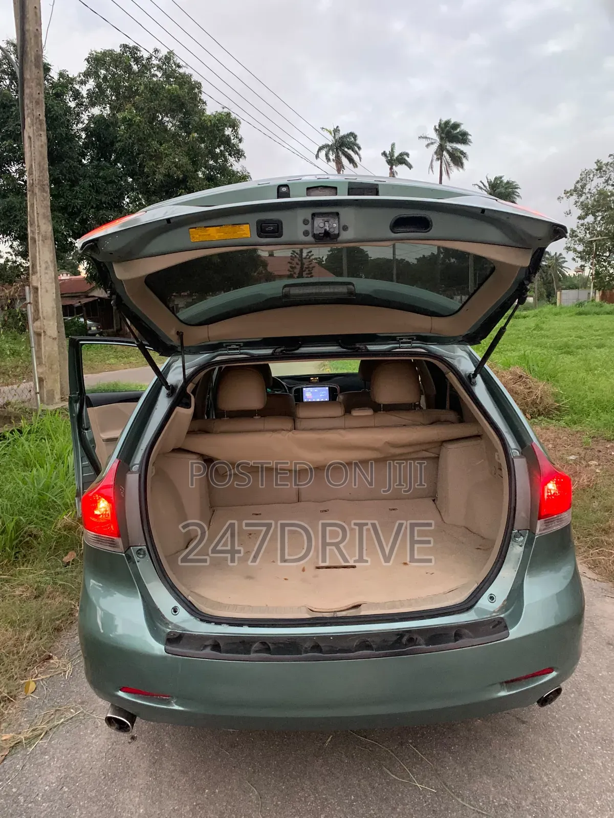 Toyota Venza 2009 Green