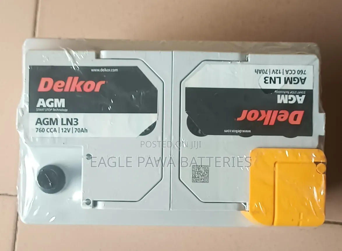 Delkor AGM Battery LN3