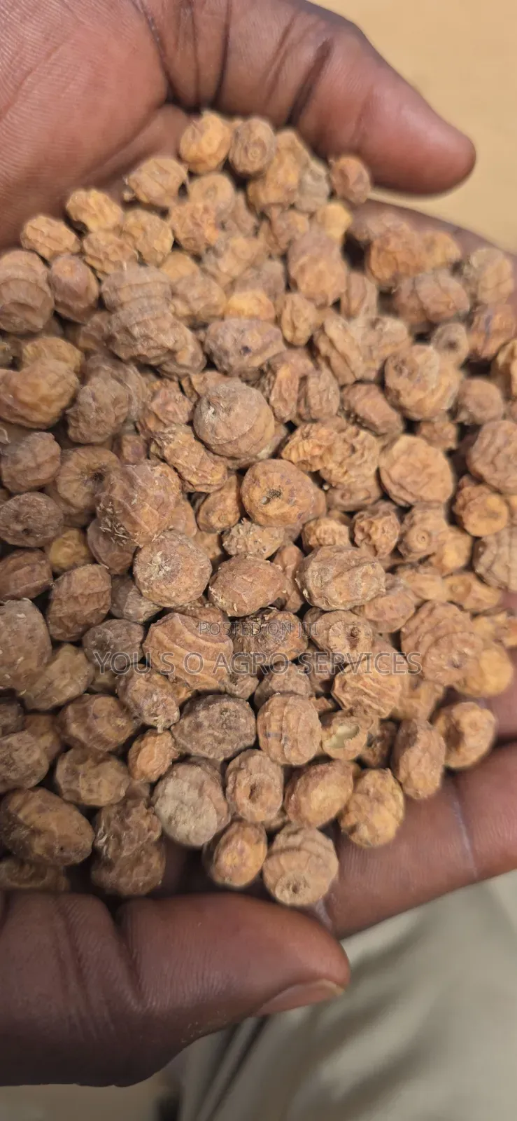 Clean and Sweet Tiger Nuts (Aya) From Niger