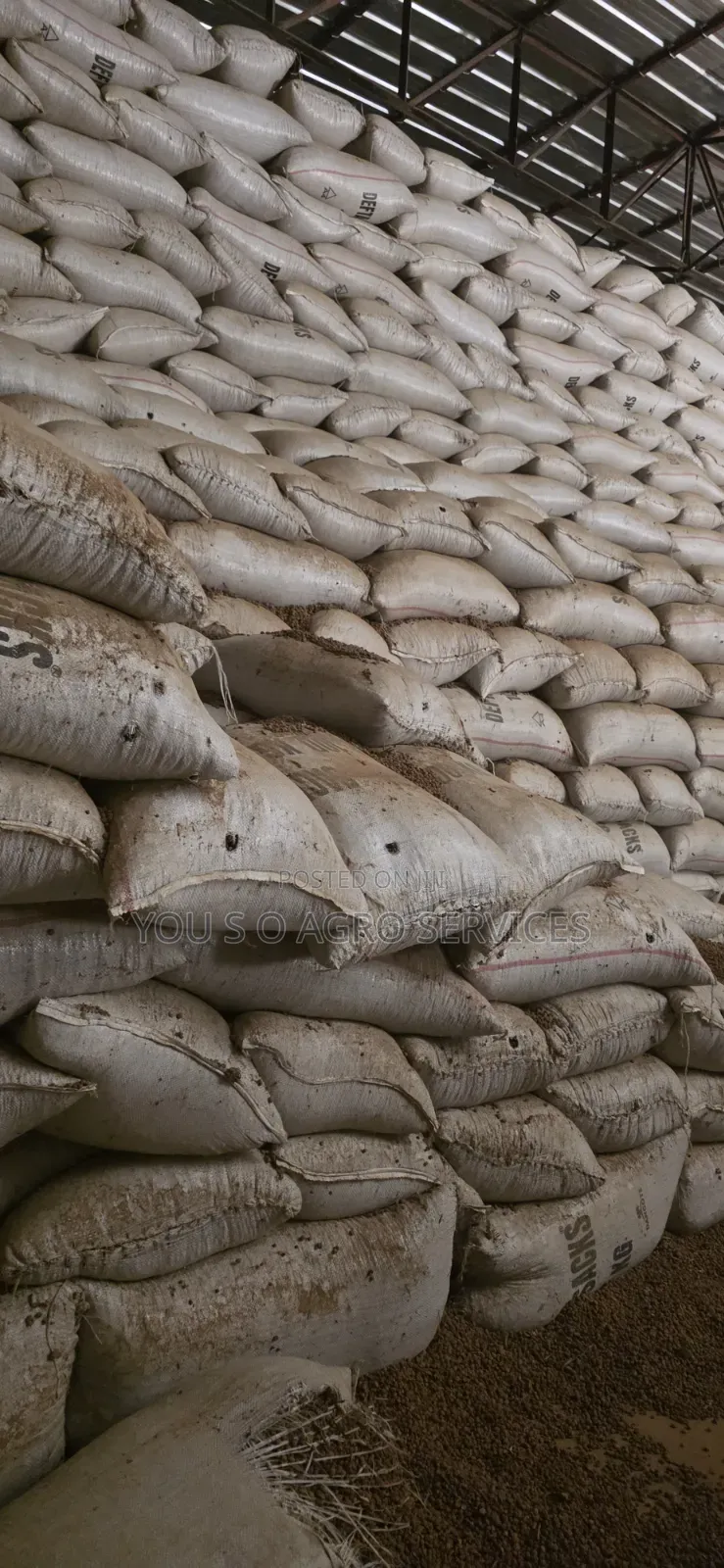 Clean and Sweet Tiger Nuts (Aya) From Niger