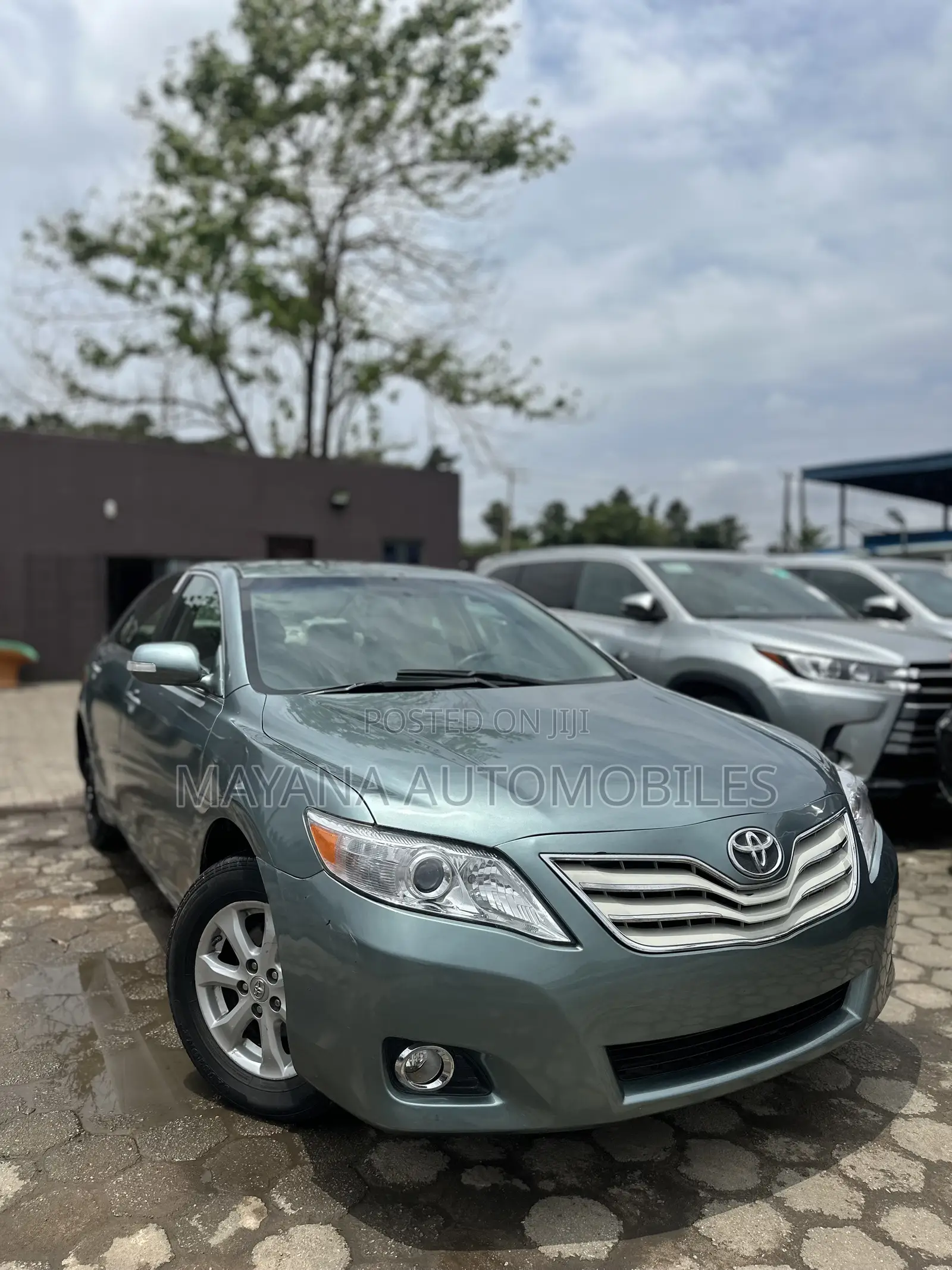 Toyota Camry LE 4dr Sedan (2.5L 4cyl 6AM) 2010 Green