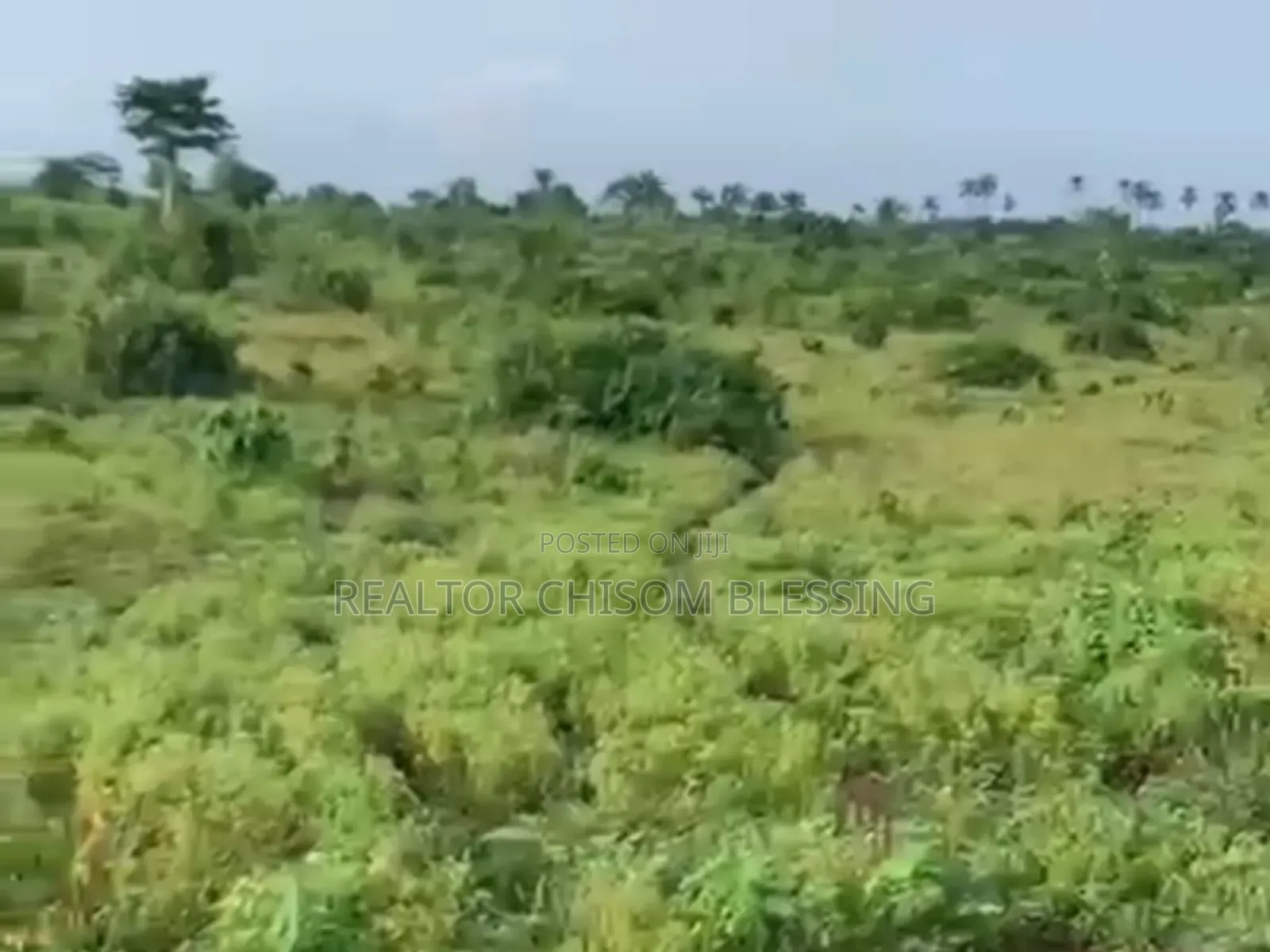 380 Plots for Sale in Mbom Ibeku, Umuahia