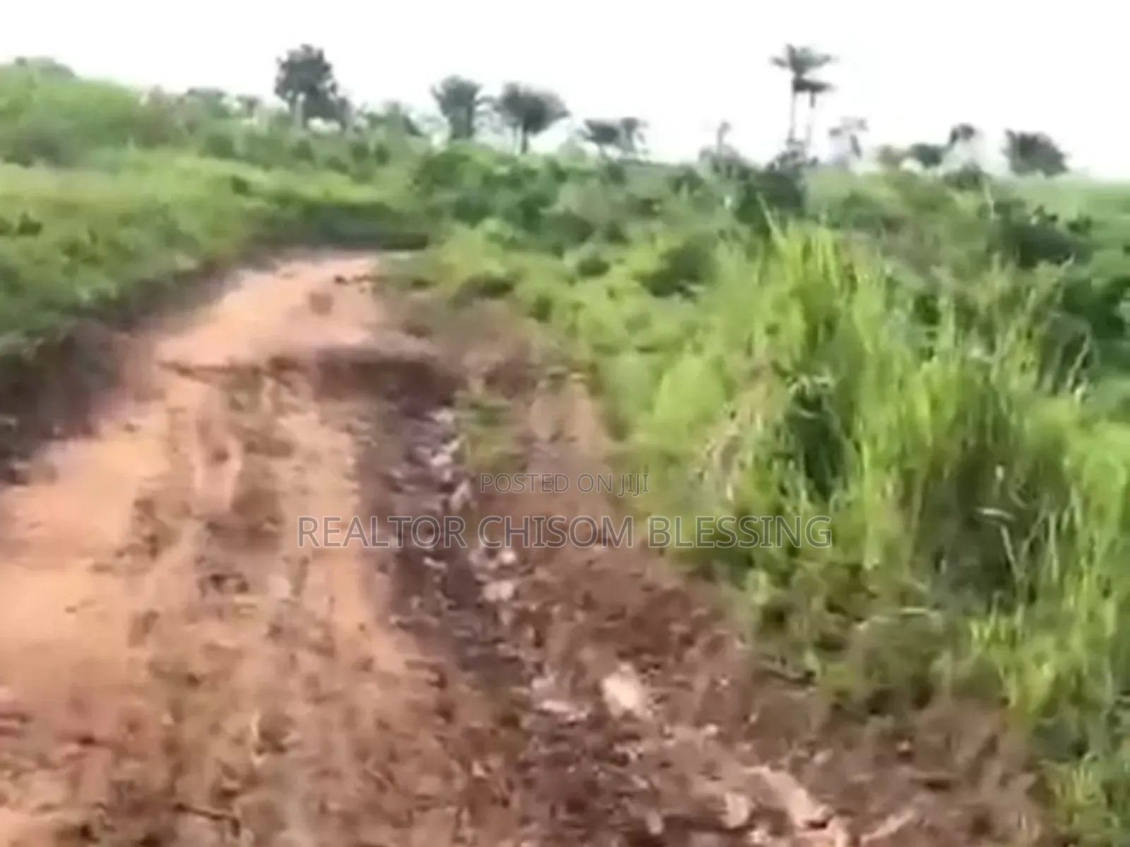 380 Plots for Sale in Mbom Ibeku, Umuahia