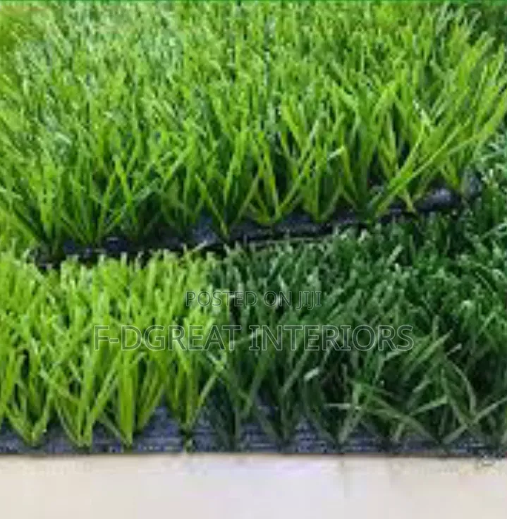 Football Grass Highest Quality