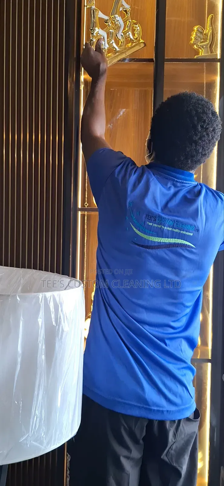Professional Deep Cleaning, Upholstery Cleaning