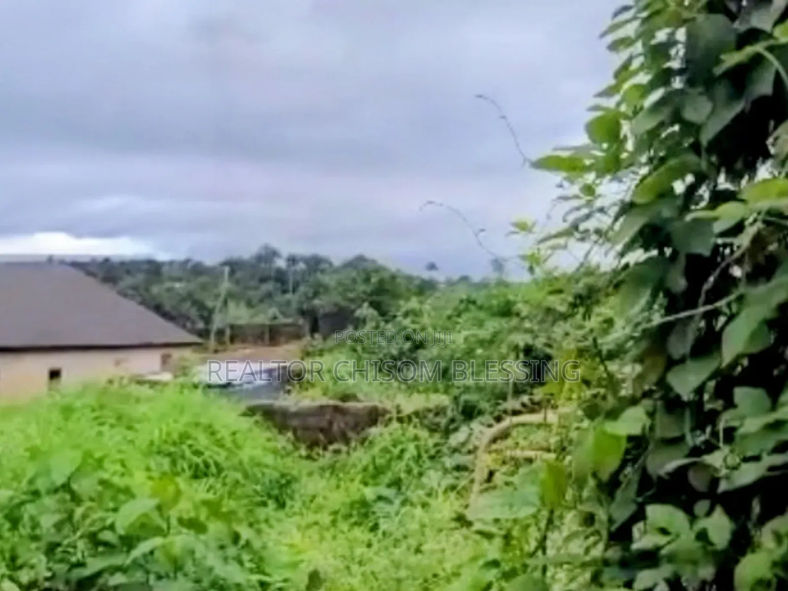 6 Plots, Fenced and Gated for Sale in Ohiya Umuahia Abia State