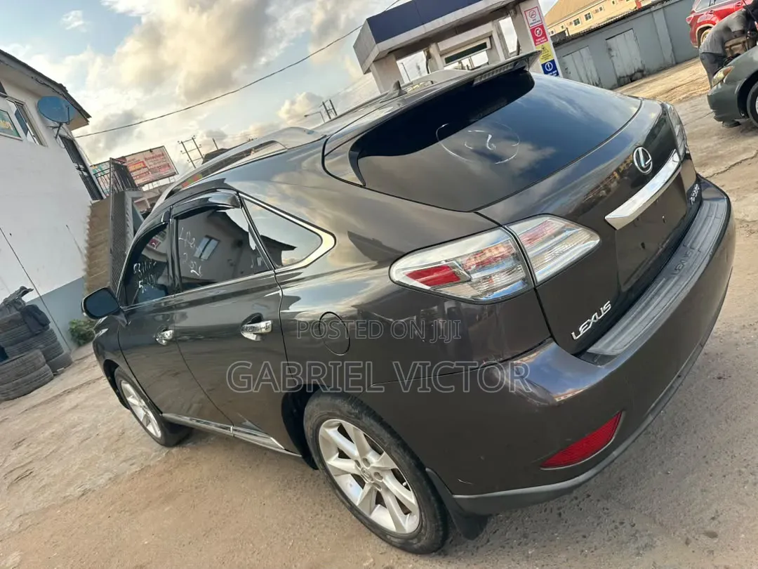 Lexus RX 350 2010 Gray