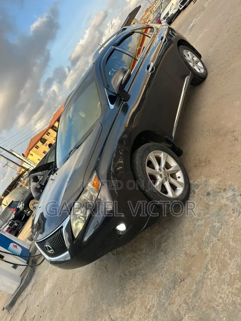 Lexus RX 350 2010 Gray