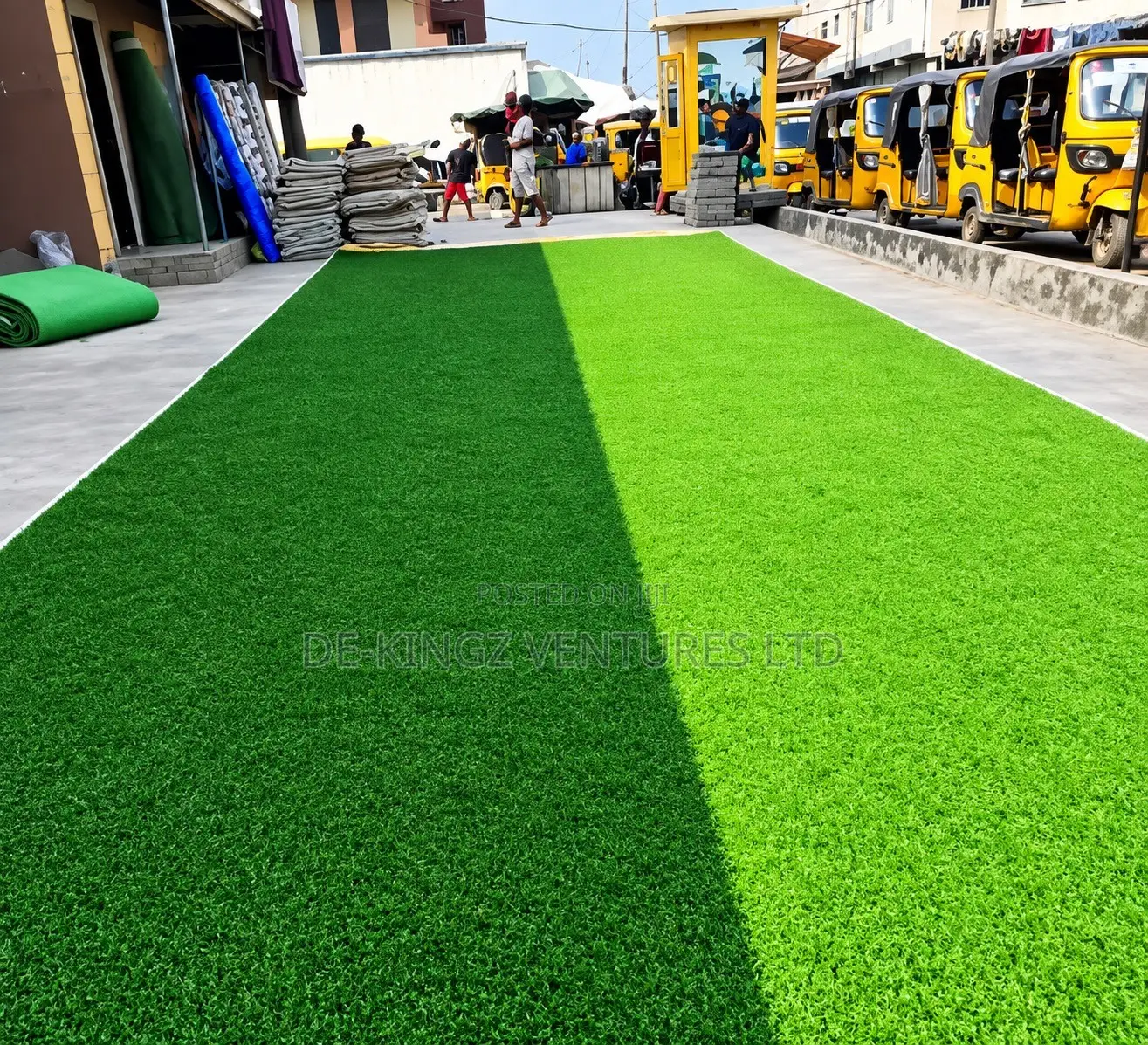 Balcony Grass Nigeria, Carpet Grass Lagos
