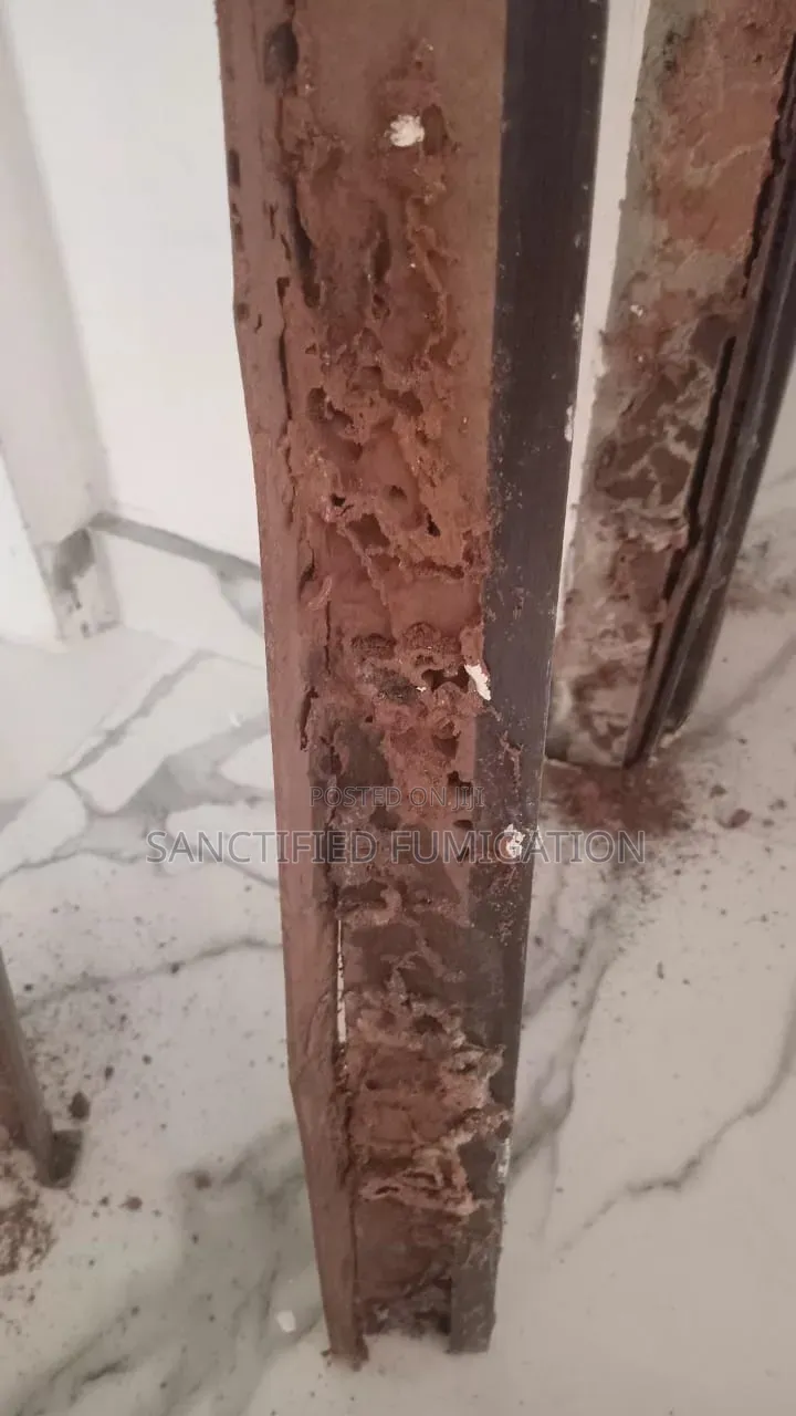 Anti -Termite