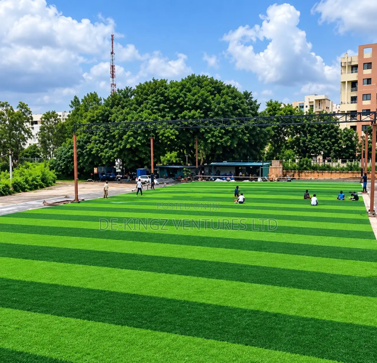 Grass Carpet Rug the Best for Garden, Field, Pitch, Anywhere