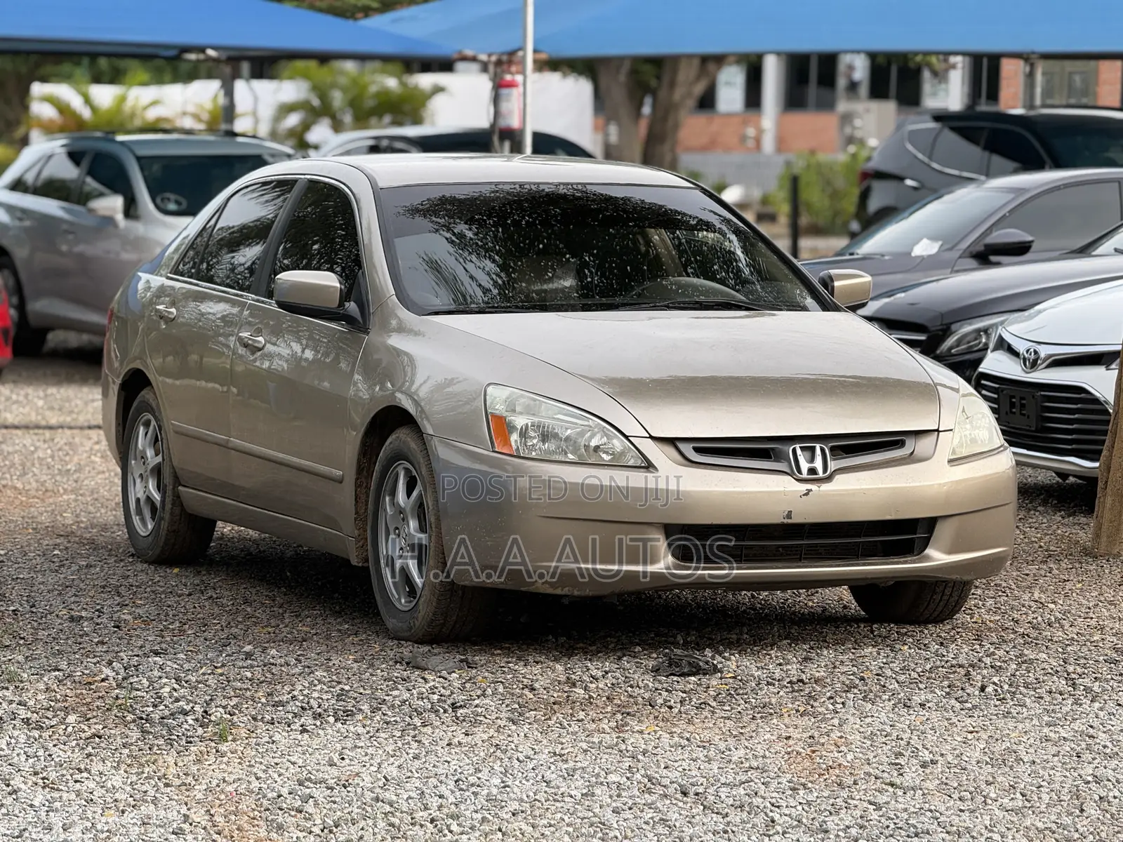 Honda Accord 2004 Gold