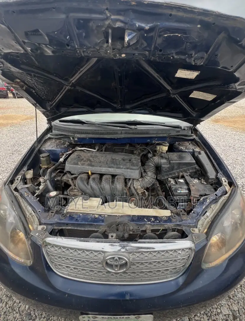 Toyota Corolla LE 2007 Blue