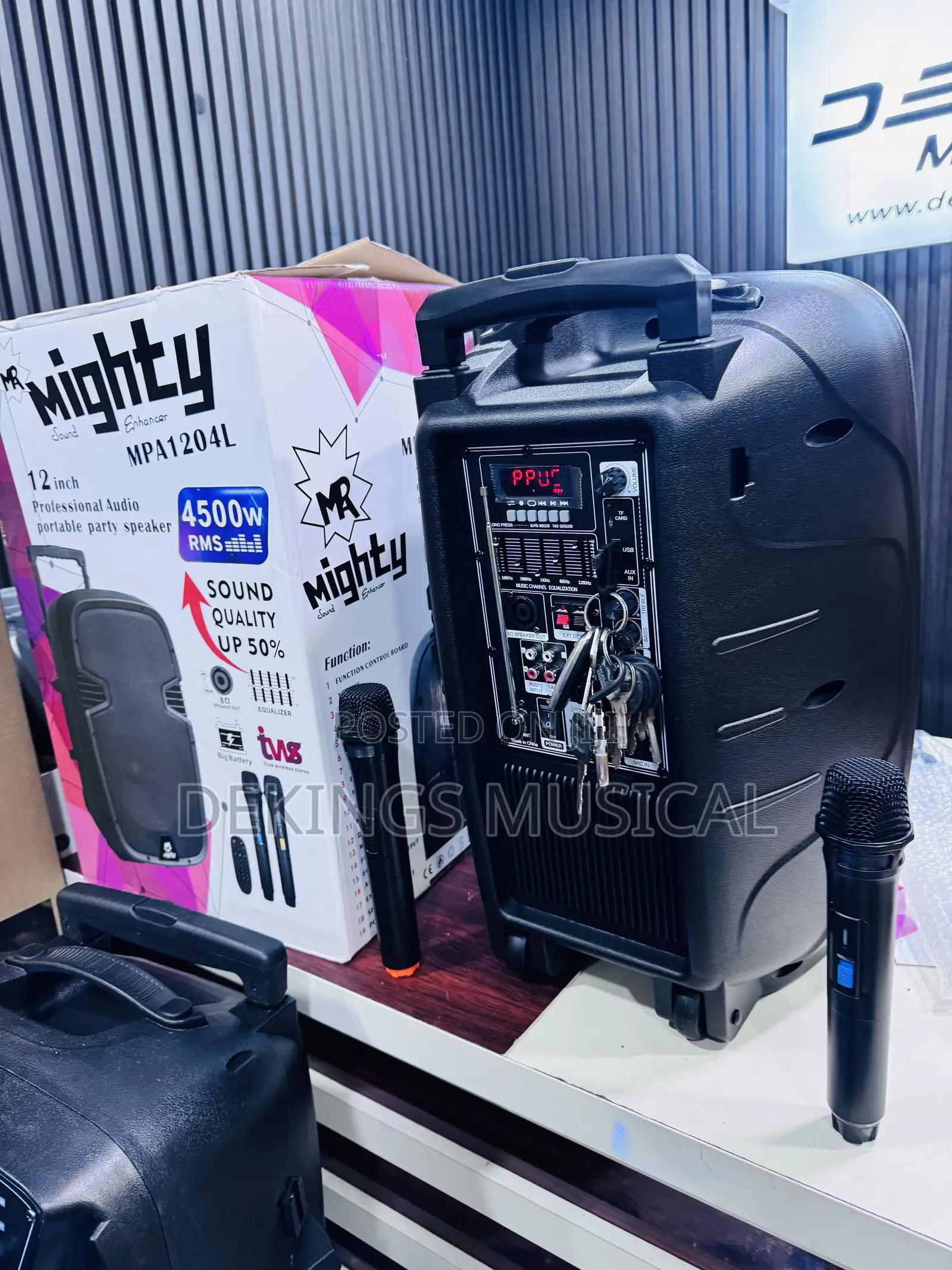 Mr Mighty 12 Inches Rechargeable Pa System Big Batterg