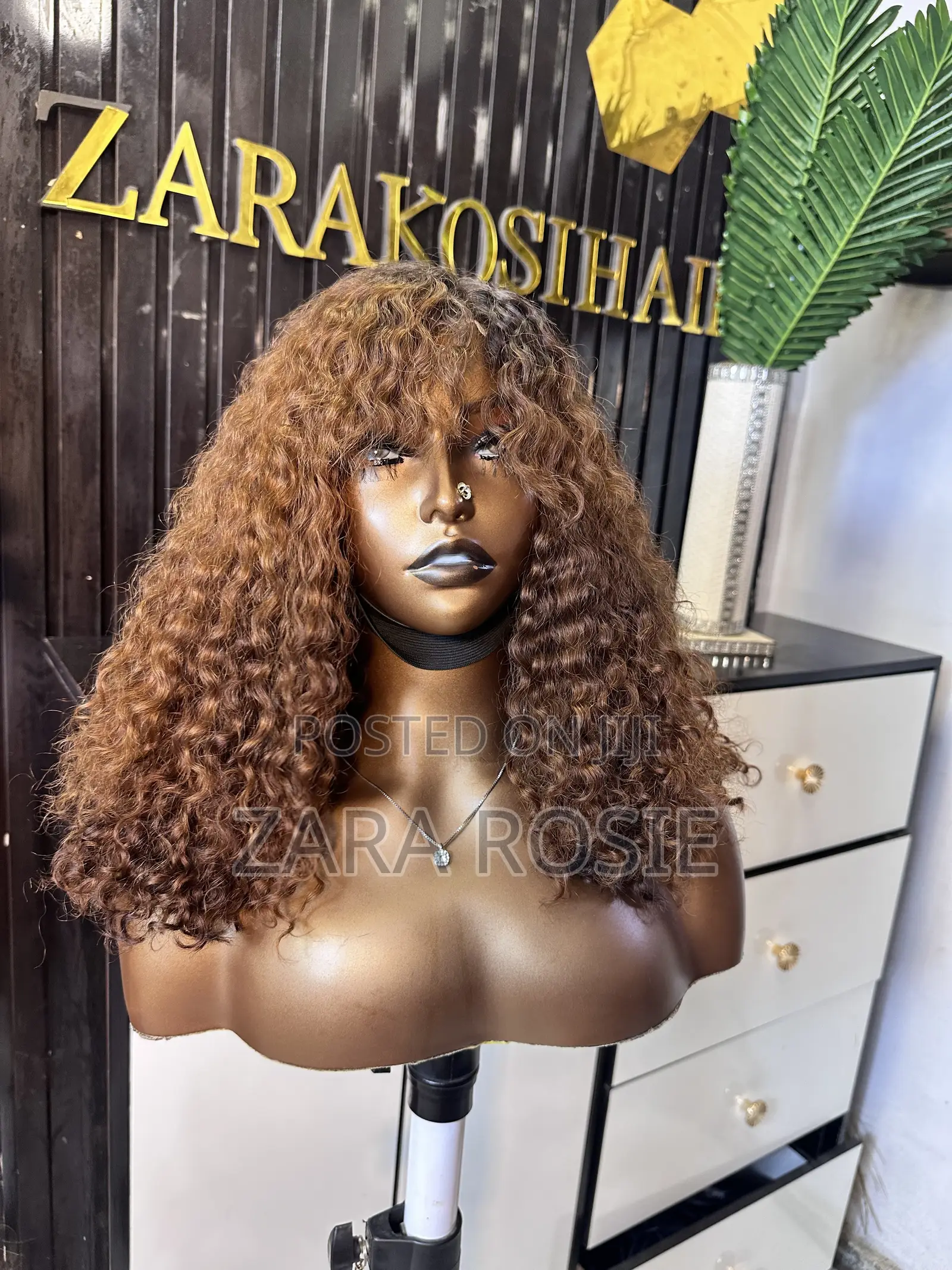 Raw Vietnamese Wig