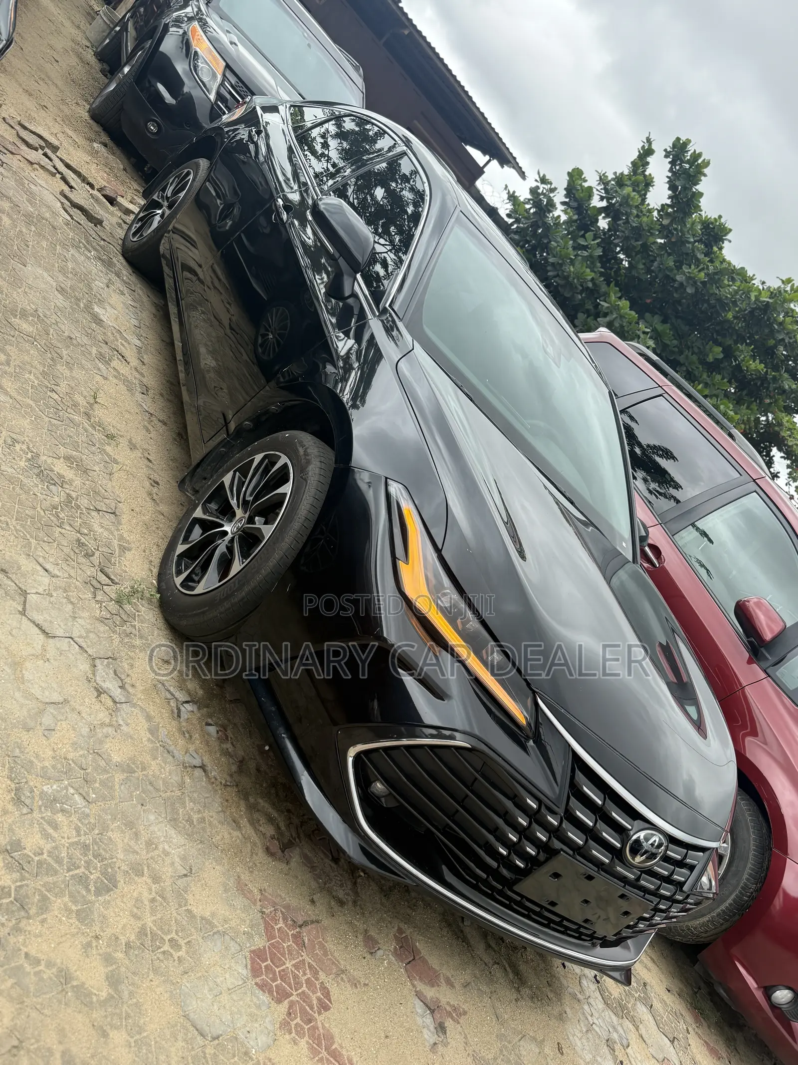 Toyota Avalon 2024 Black