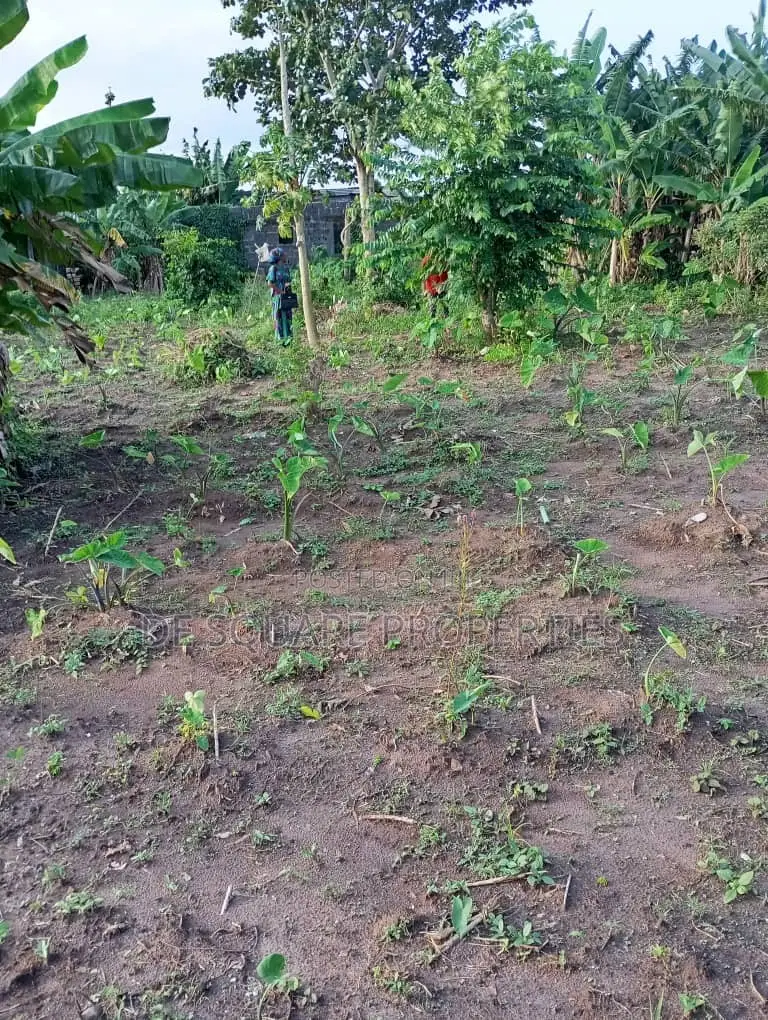 Land for Sale in Ikorodu