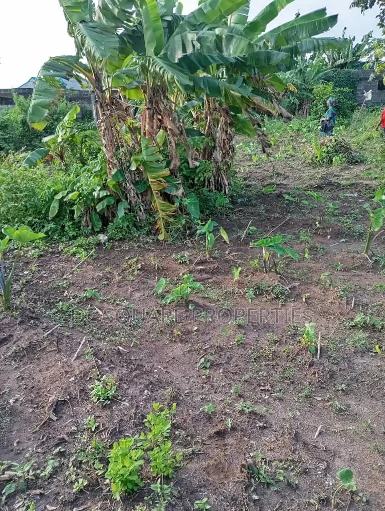 Land for Sale in Ikorodu