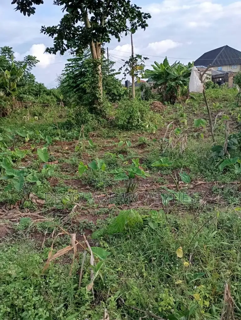 Land for Sale in Ikorodu