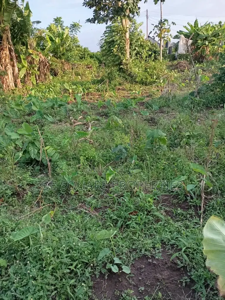 Land for Sale in Ikorodu