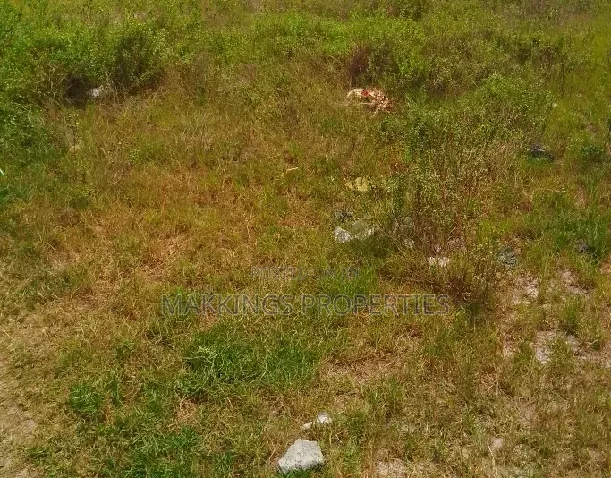 7,000sqm Waterfront Joint Venture (Jv) in Banana Island