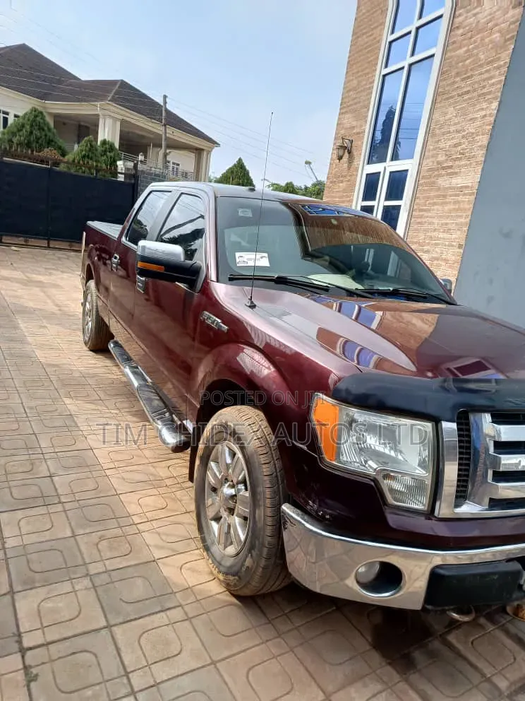 Ford F-150 2010 Burgundy