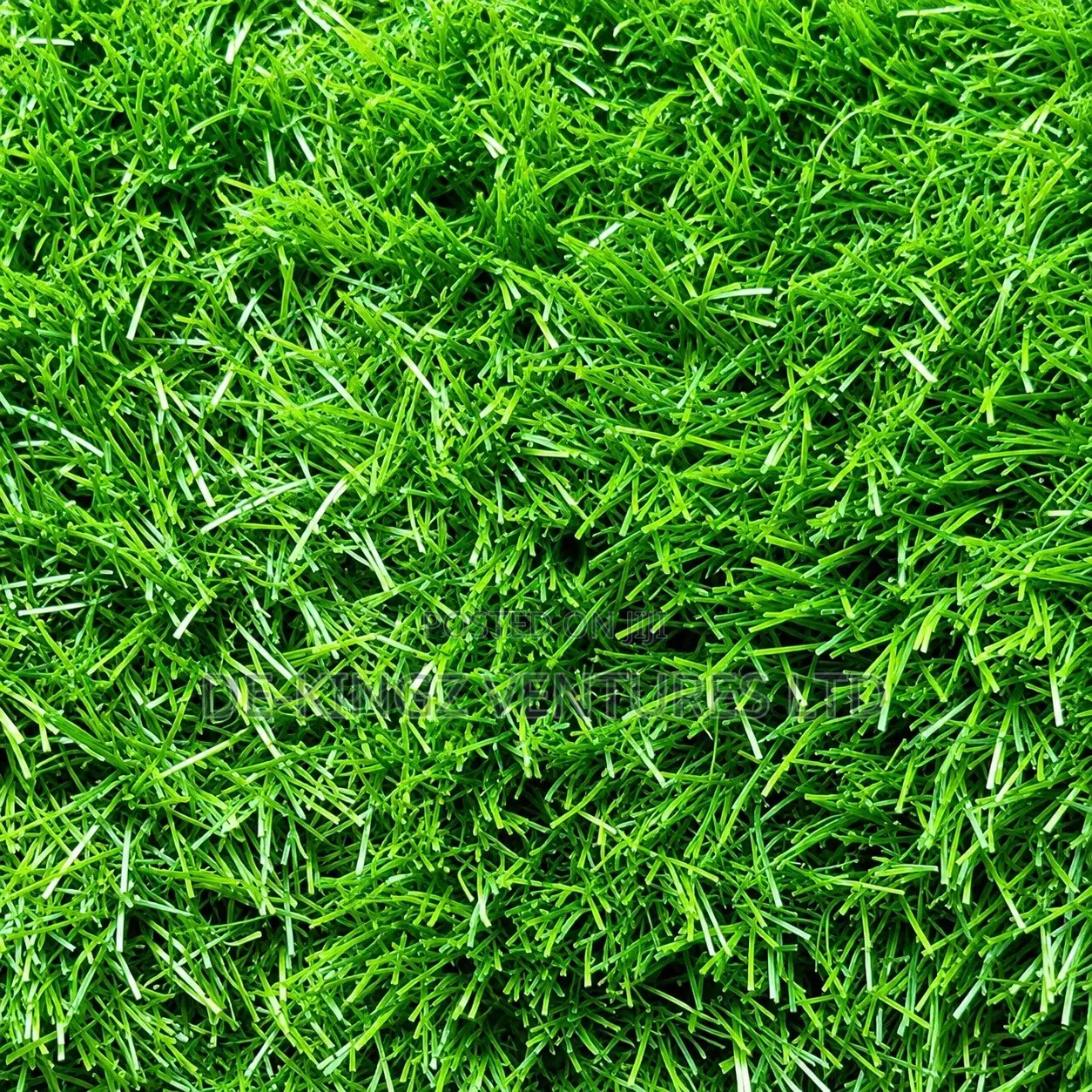 Carpet Grass Rug Sold in SQM and Rolls