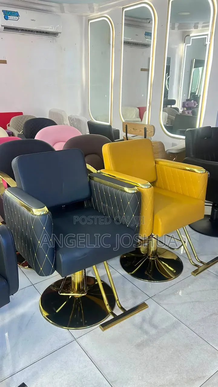 Multi Colour Barber Chair