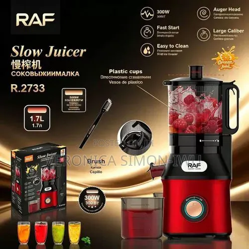 RAF R.2733 1.7L Slow Juicer With Auger Head