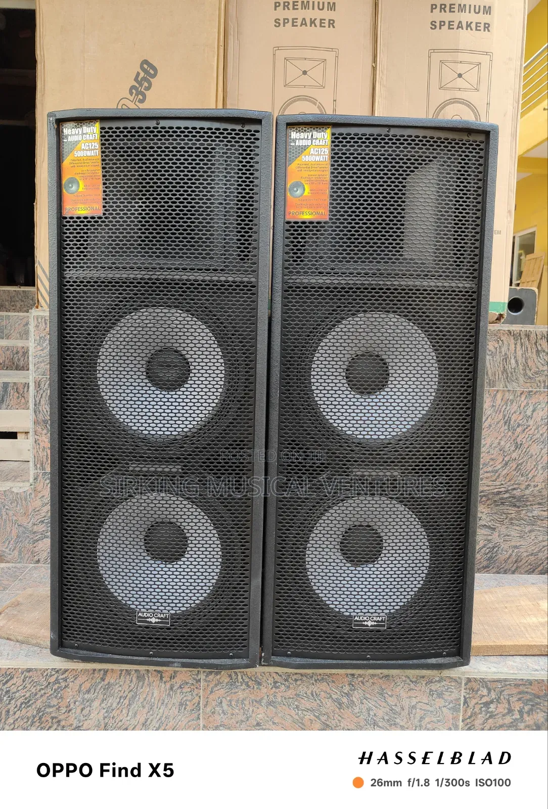 Audio Craft Acoustic Speaker