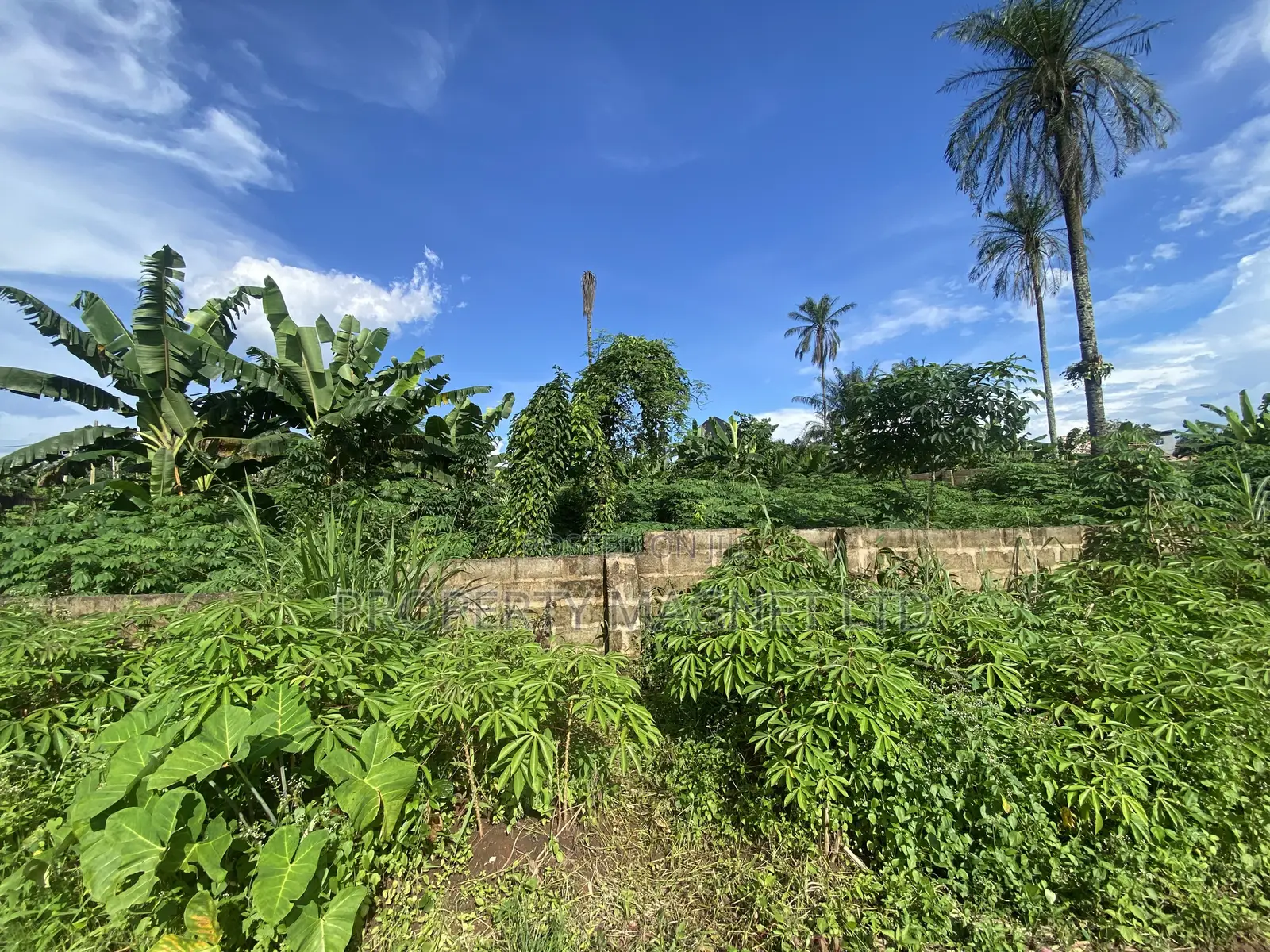 1 Plot of Land for Sale at Umuahia