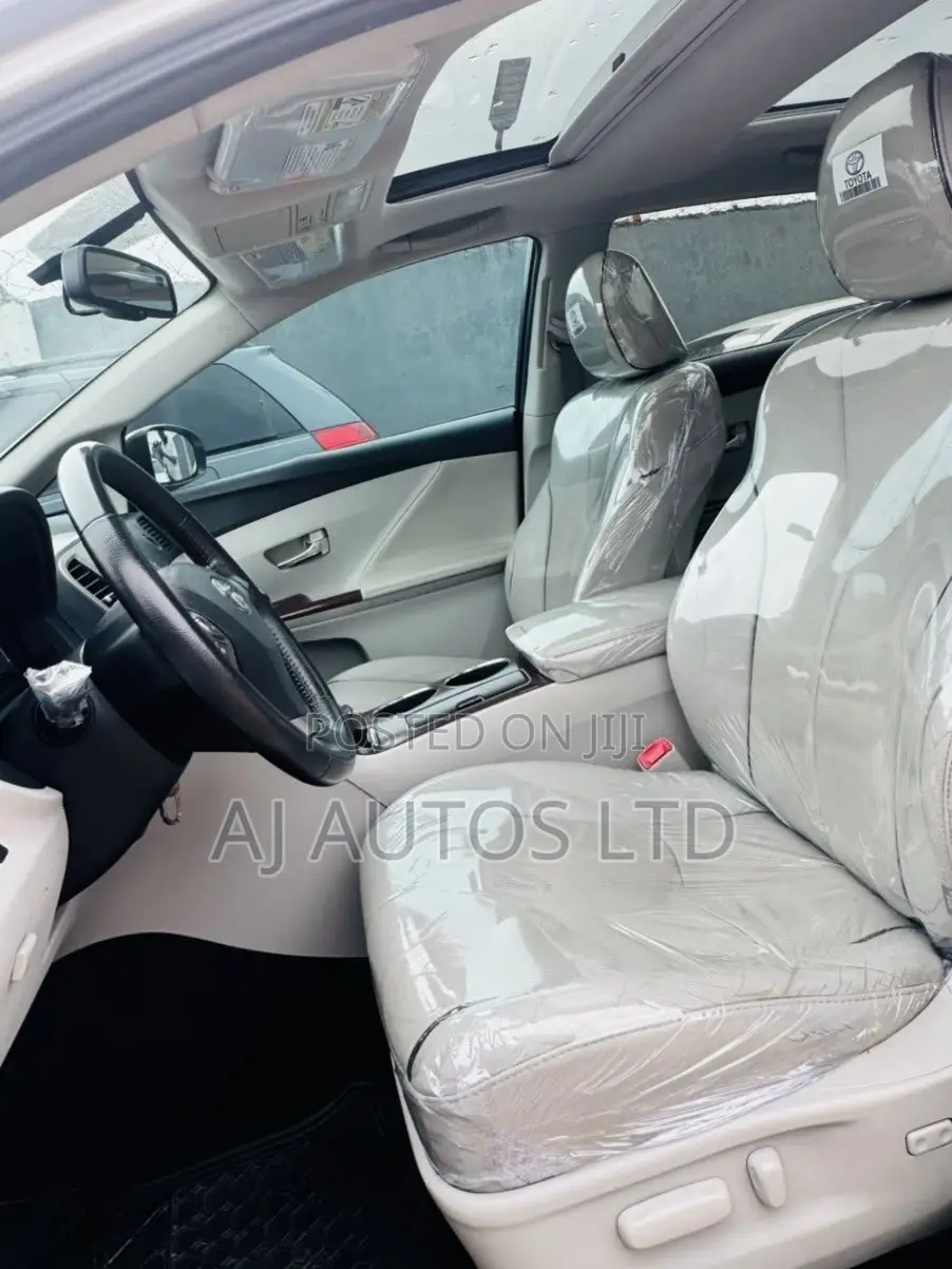 Toyota Venza 2010 Silver