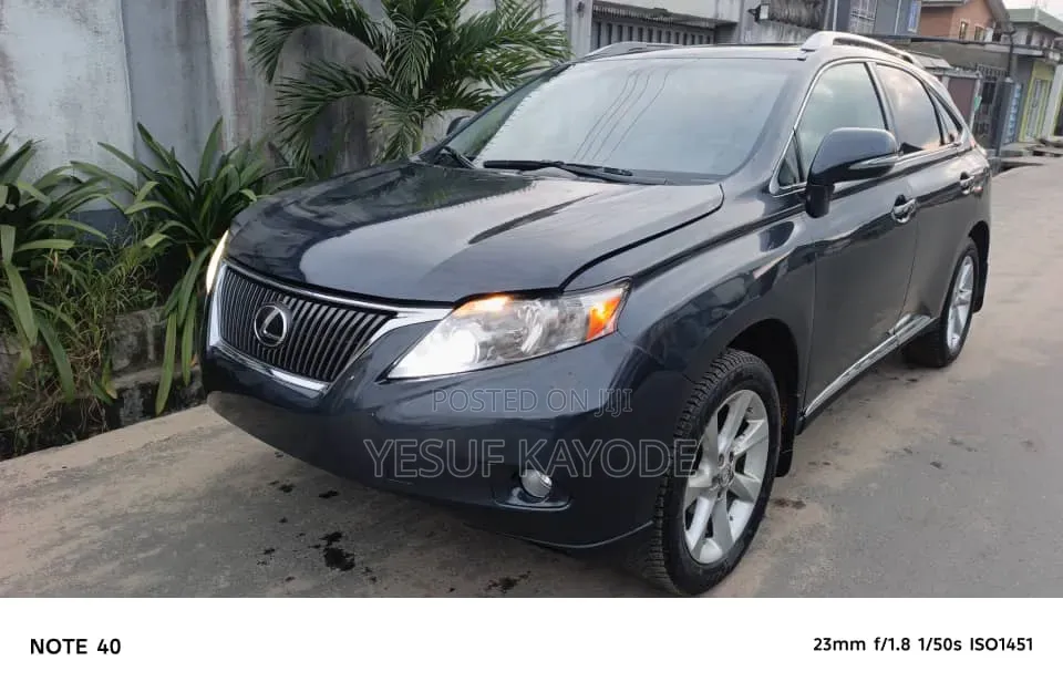 Lexus RX 2010 Gray