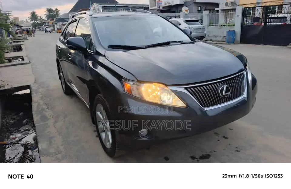 Lexus RX 2010 Gray