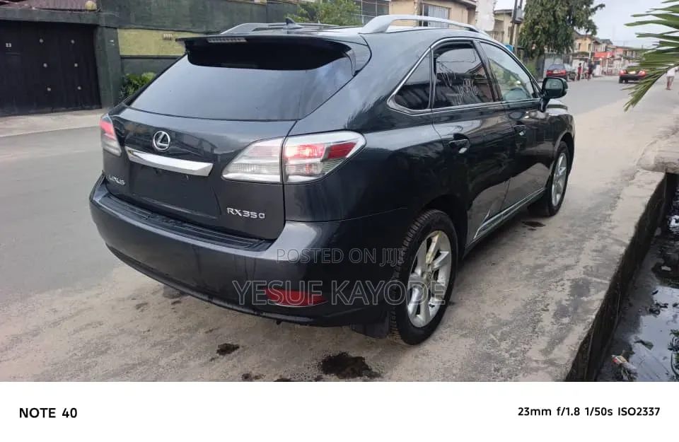 Lexus RX 2010 Gray