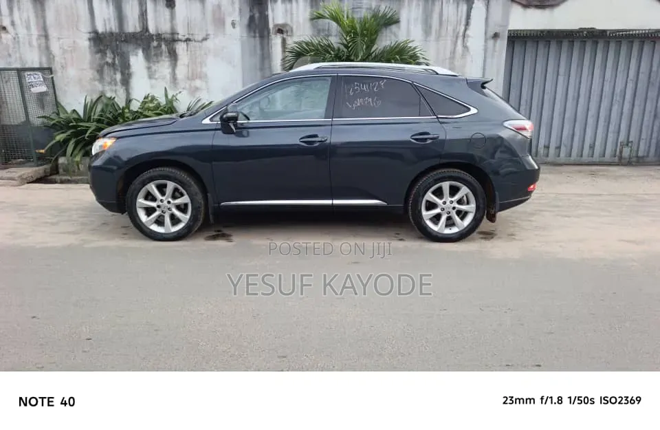 Lexus RX 2010 Gray