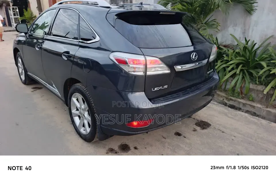 Lexus RX 2010 Gray