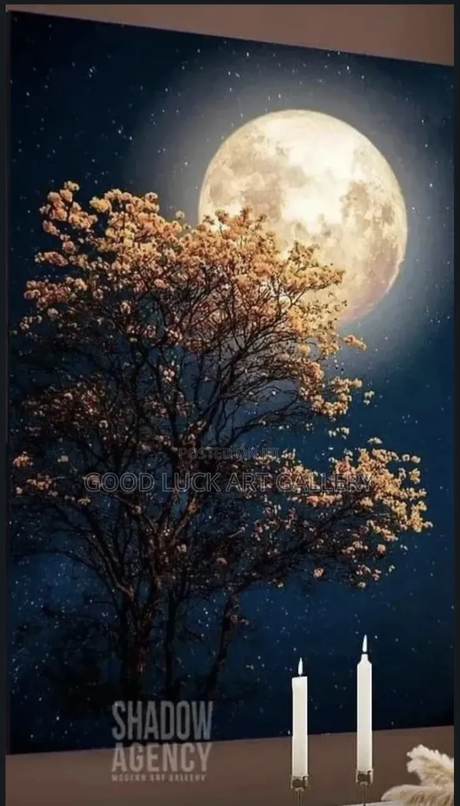 Full Moon Canvas Art