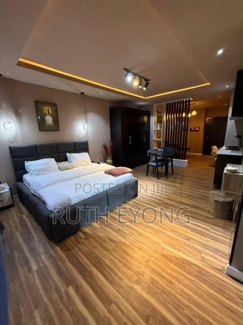 Furnished Studio Apartment in Ikate Lekki. Lagos for rent