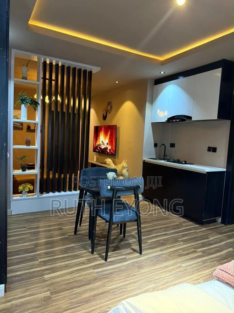 Furnished Studio Apartment in Ikate Lekki. Lagos for rent