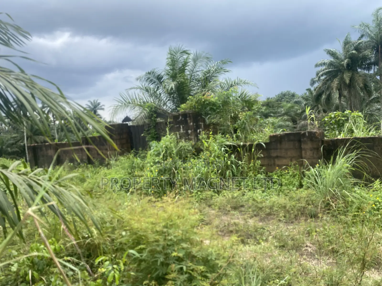 Standard 1 Plot of Land for Sale at Umuahia