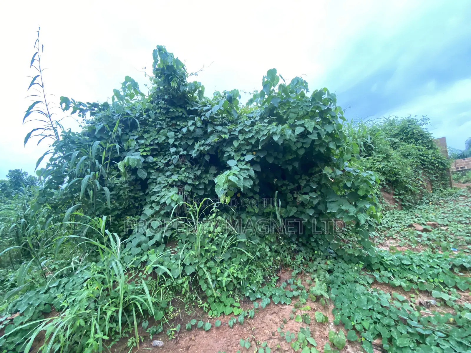 Good Deals of Land at Umuahia