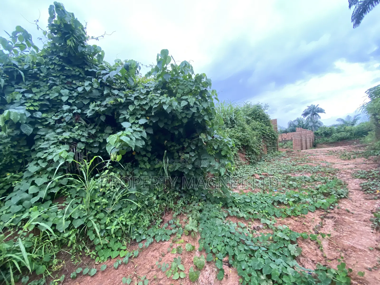 Good Deals of Land at Umuahia