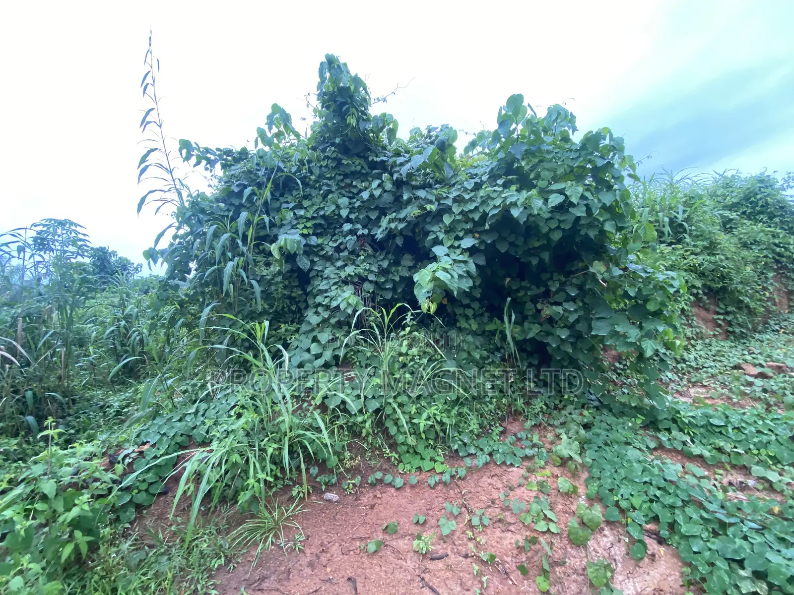 Good Deals of Land at Umuahia